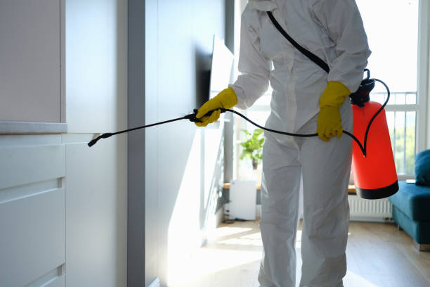 Best Home Mold Removal  in San Antonio, TX
