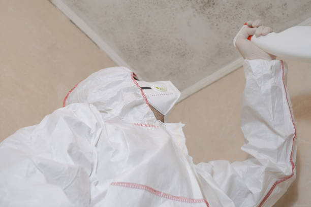 Best Mold Testing  in San Antonio, TX