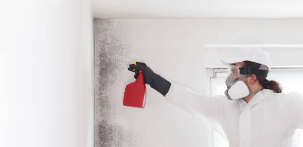Best Emergency Mold Removal  in San Antonio, TX